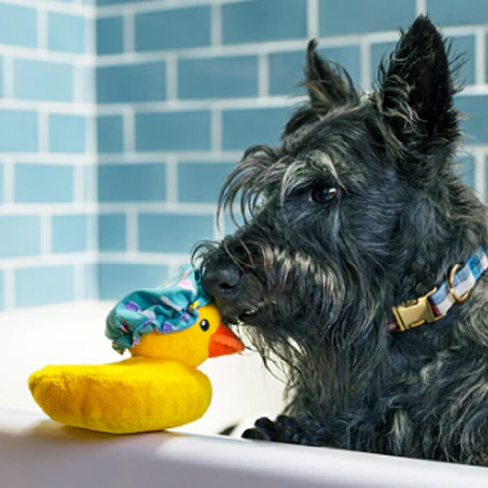 P.L.A.Y. - Bubbles the Duck