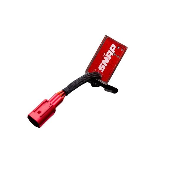 Boitier électronique Rbw Skull SNAPRef : RBW0001 / 10204267