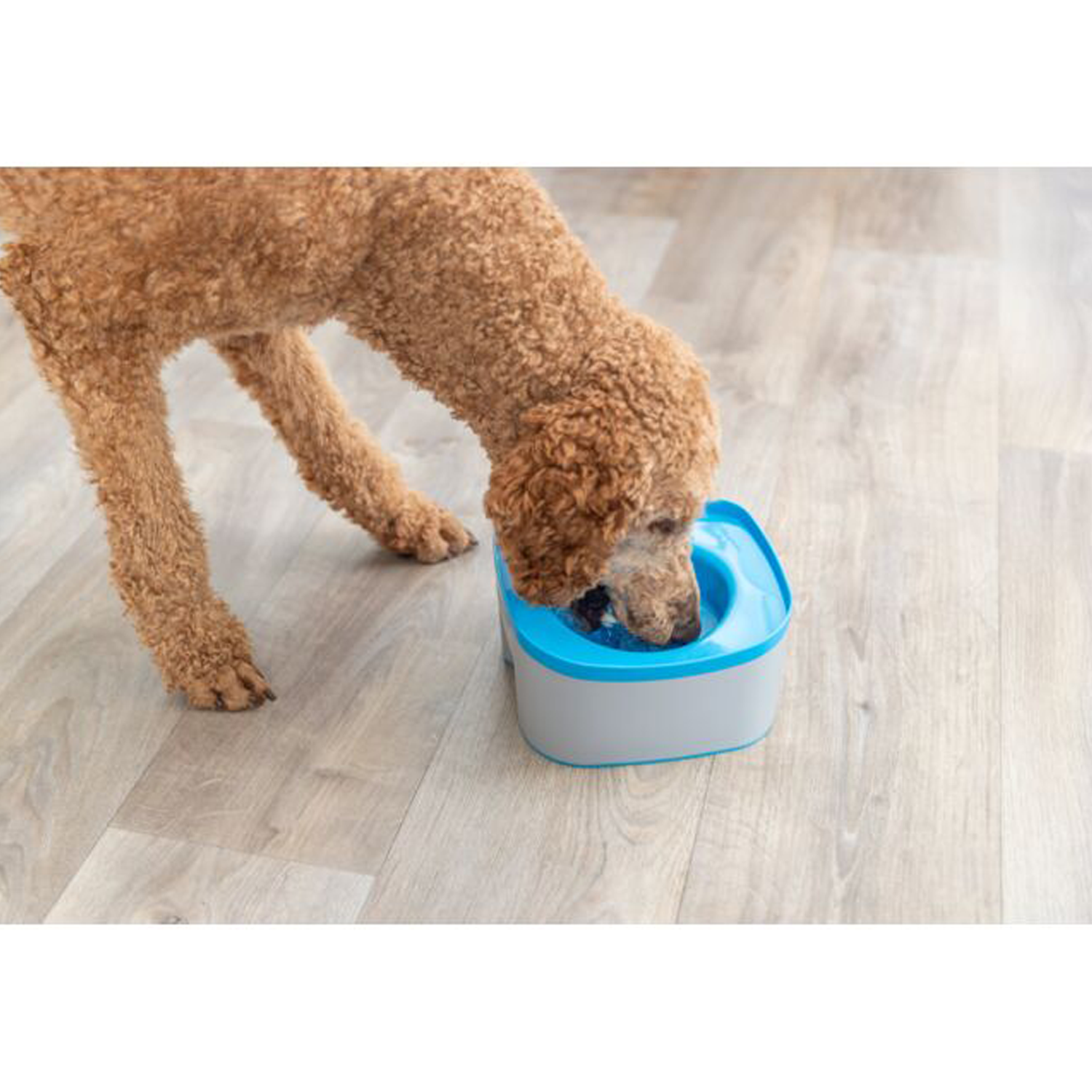 Trixie Strong Travel Bowl