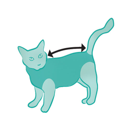 Suitical Recovery Suit for Cats - XXXS - Grey