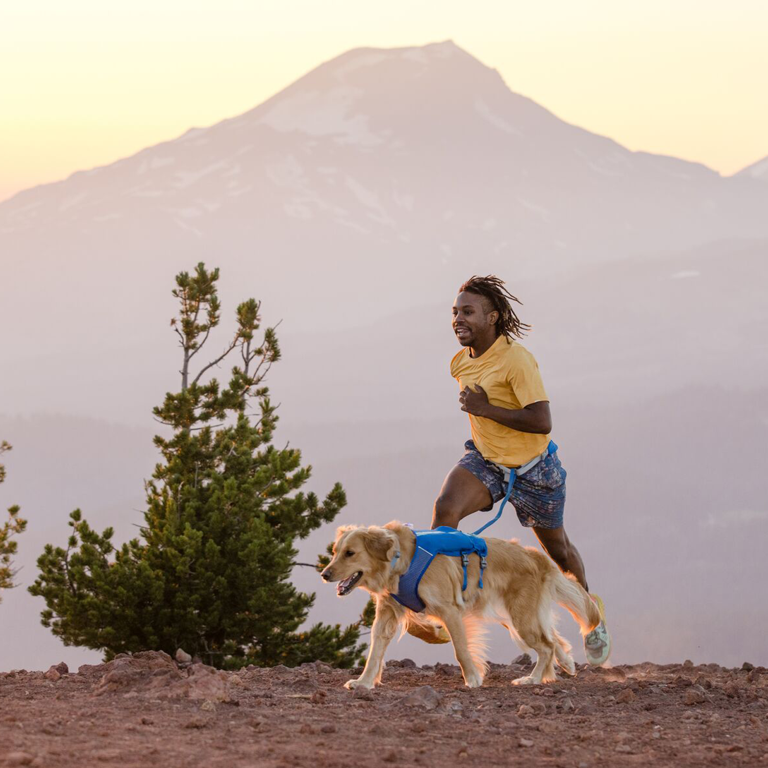 Ruffwear Trail Runner Belt - Blue Pool - S/M