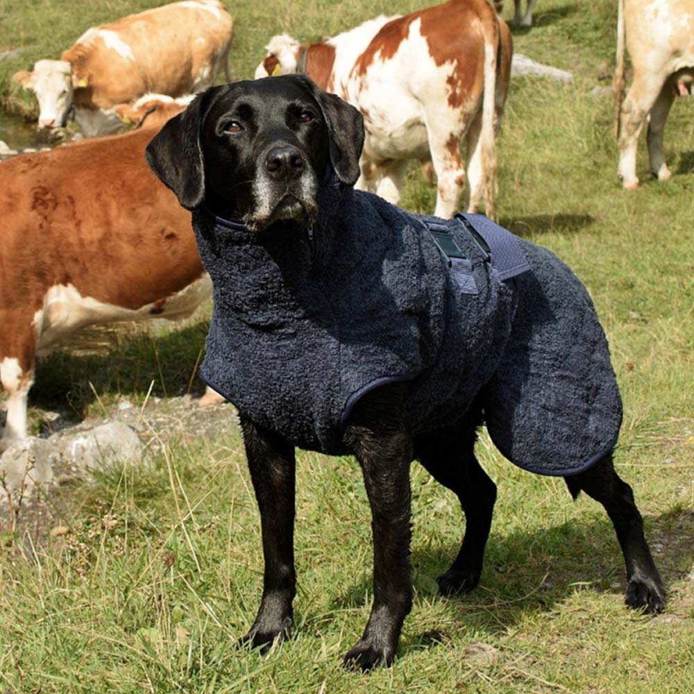 Siccaro WetDog SupremePro 2.0 - Blue Granite - 50