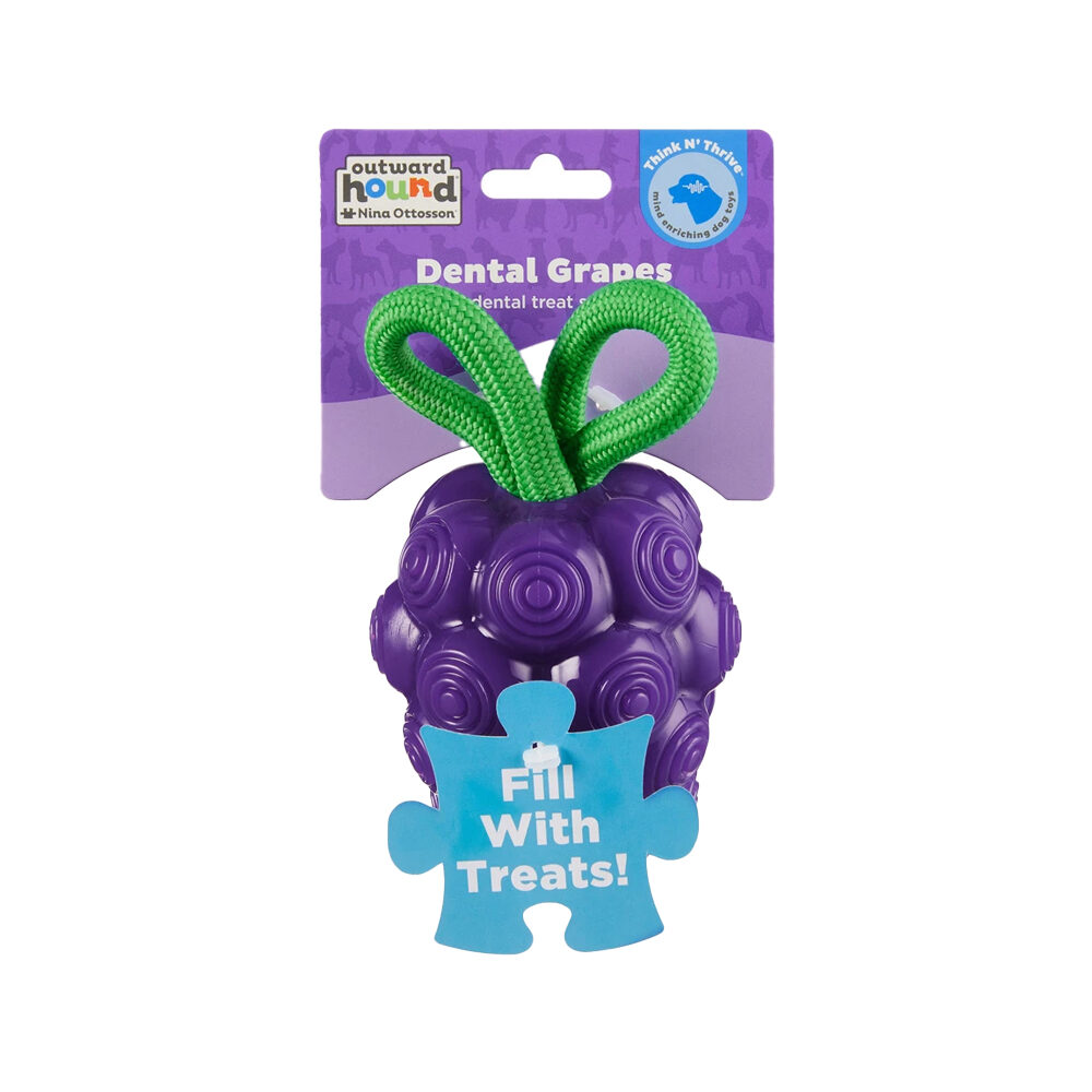 Outward Hound Dental Grapes