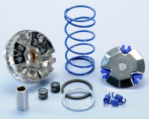 Polini Variator Ref: Pol00448A / 1012318