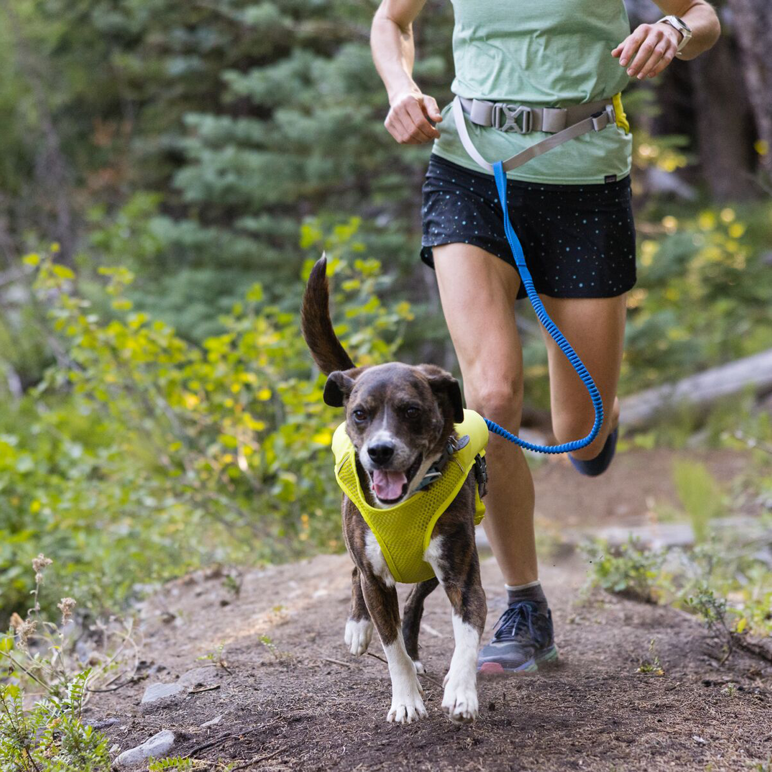 Ruffwear Trail Runner Dog Lead - Blue Pool
