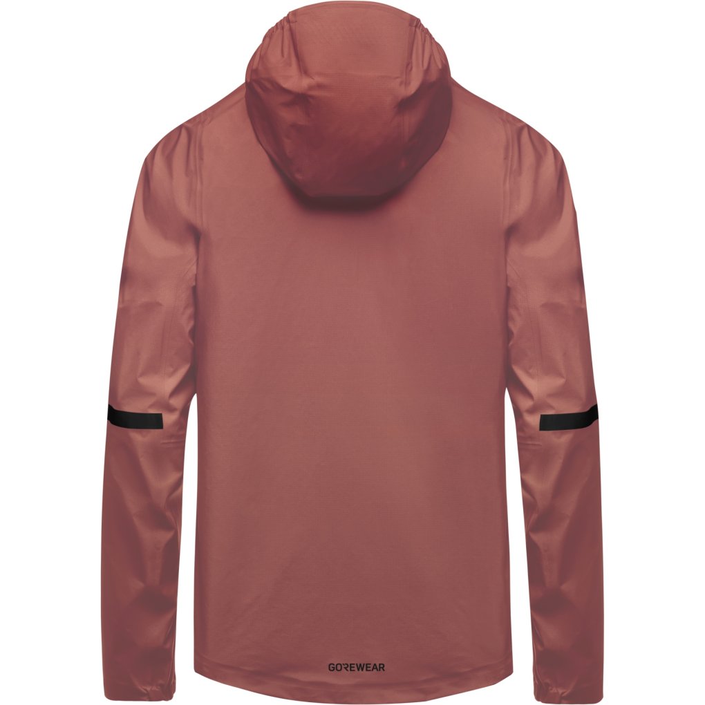 GOREWEAR Lupra 2.0 GORE-TEX Hooded Jacket Men - lab rose DL00