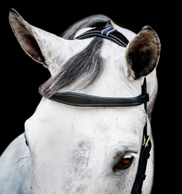 Horseware Micklem® 2 Multi Bridle