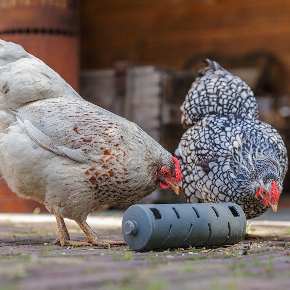 Beeztees Chicken Snack Roller - 22.5 x 6.5 x 6.5 cm
