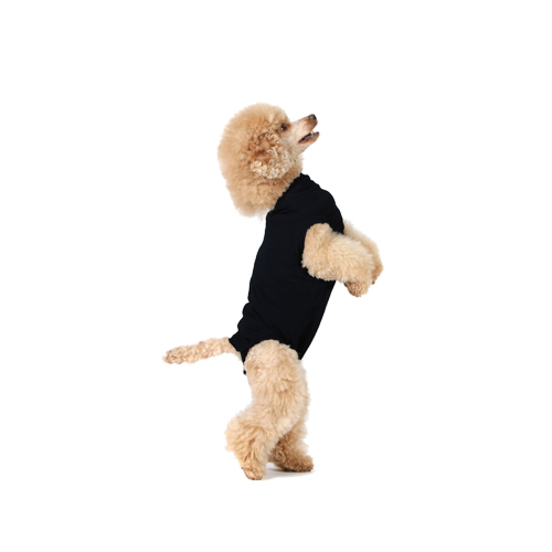 Suitical Recovery Suit for Dogs - XL - Black