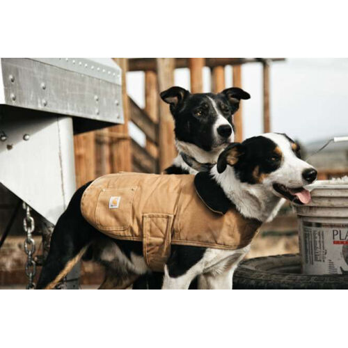Carhartt Dog Chore Coat - Brown - XL