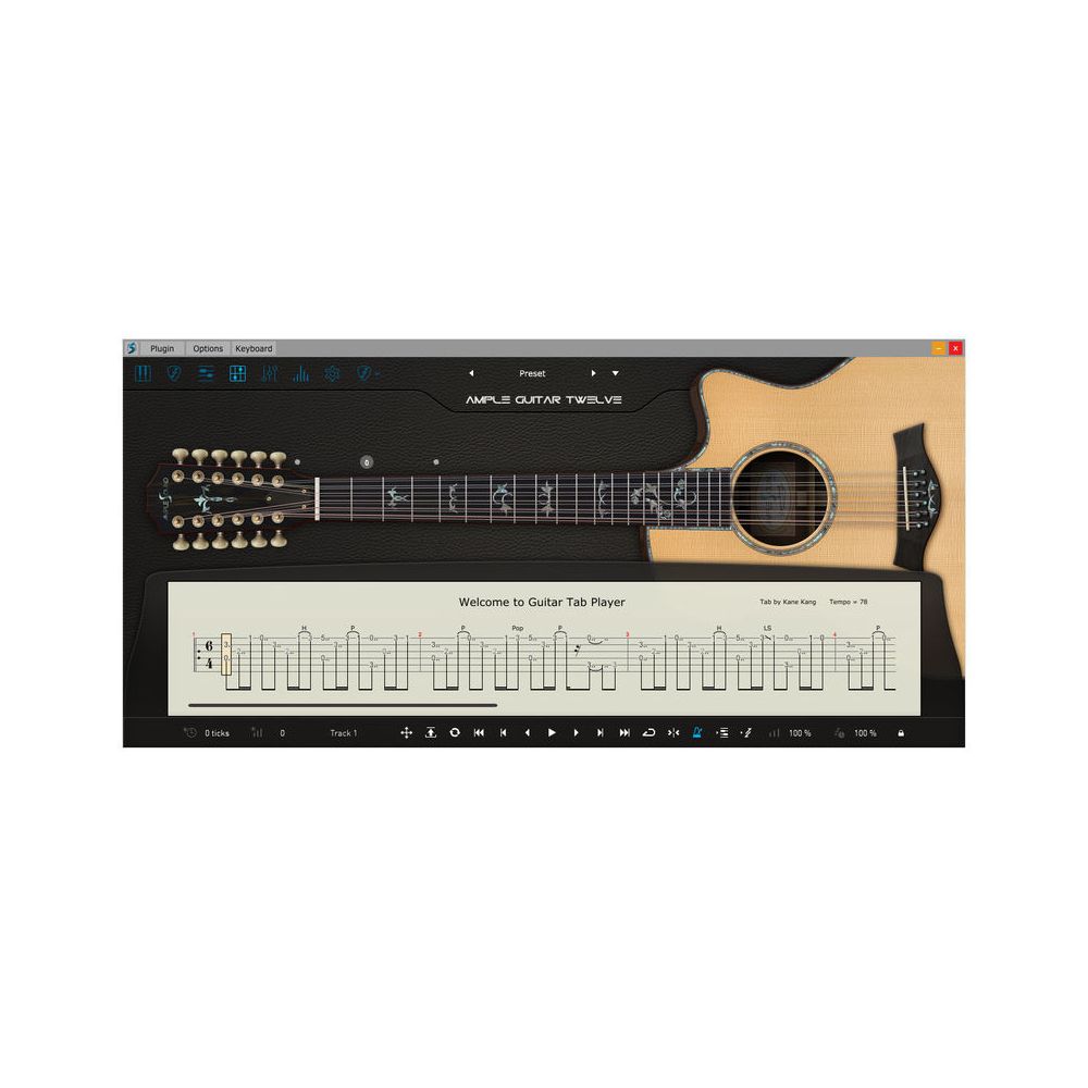 Ample Sound Ample Guitar Twelve III – Thomann Ireland