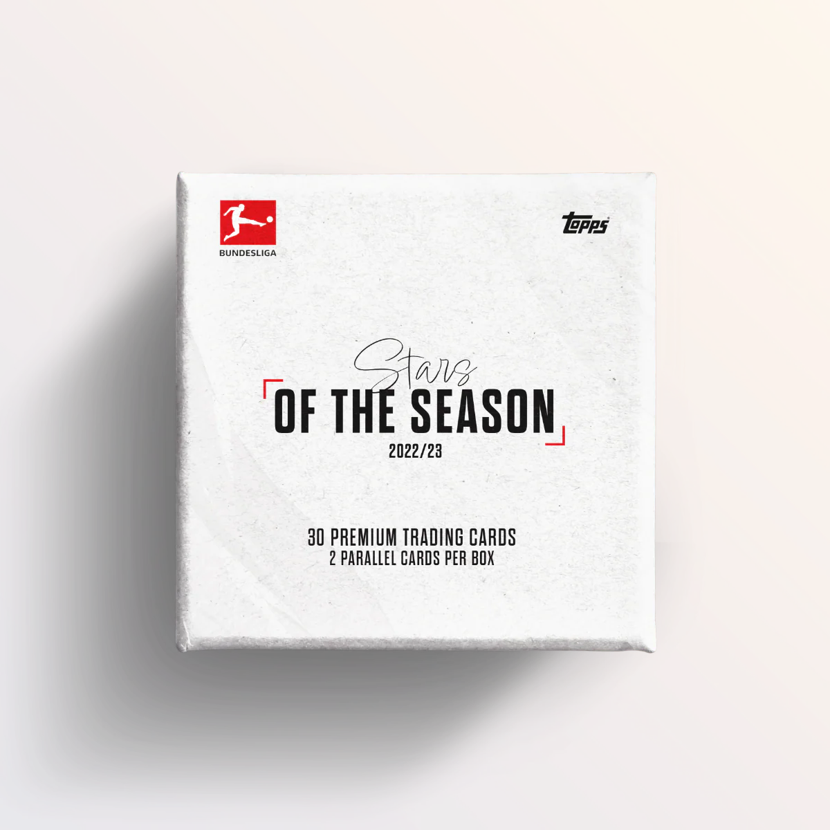 Bundesliga Stars of the Season - 2022/23