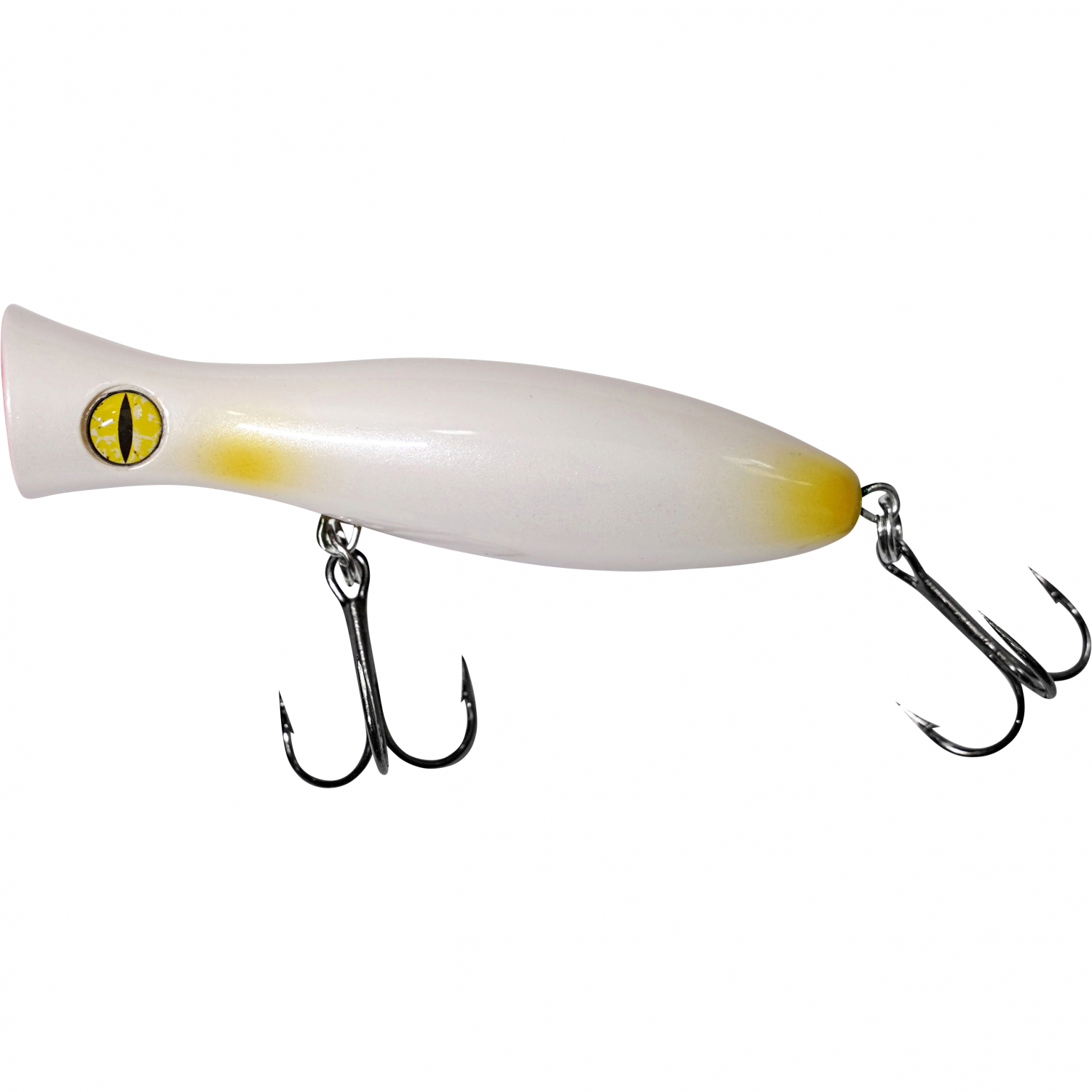 Shirasu King of Pop (Spotty)