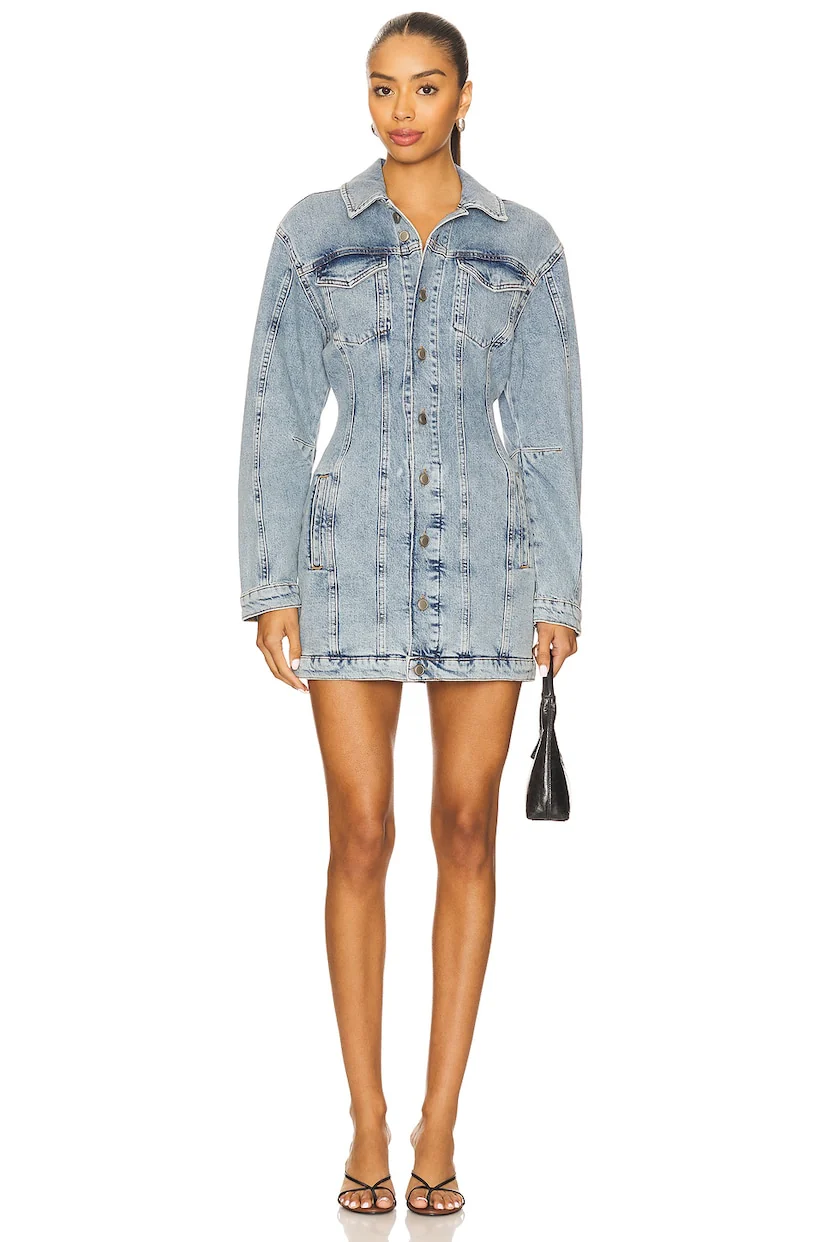 Barrel Long Sleeve Mini Dress