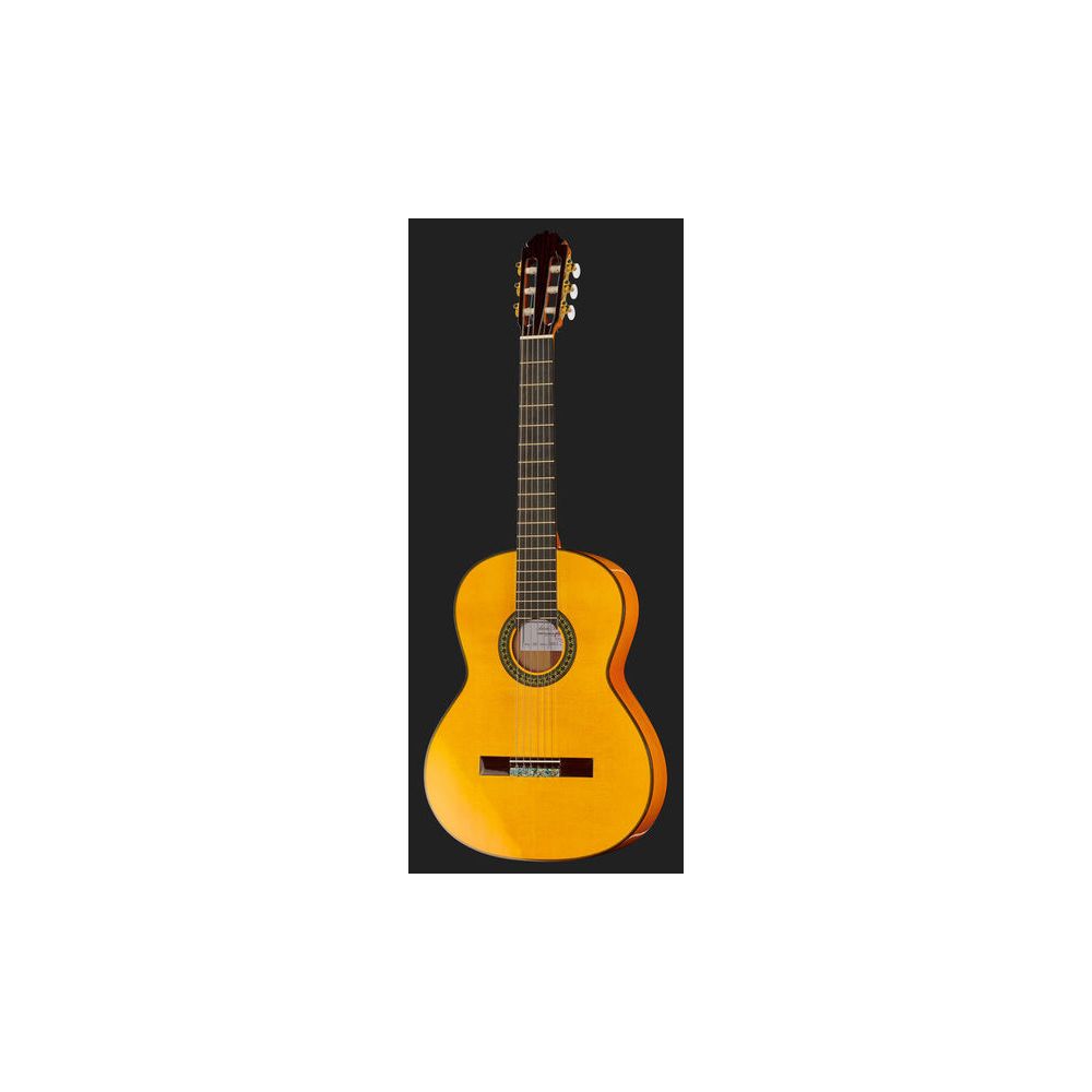 Amalio Burguet 2F Spruce Flamenco – Thomann Ireland