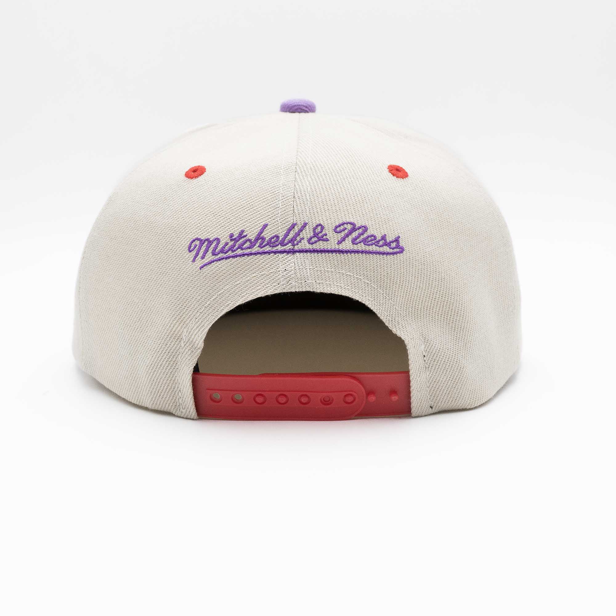 Toronto Raptors Pop Panel Mitchell & Ness Snapback NBA Cap