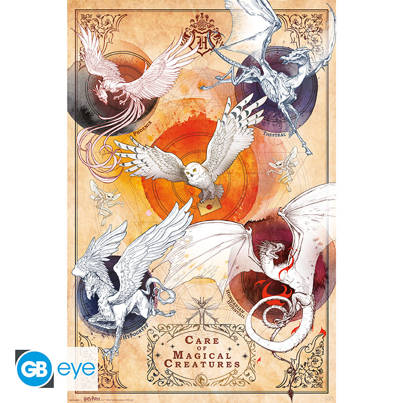 HARRY POTTER Poster Magical Creatures (91.5x61cm)