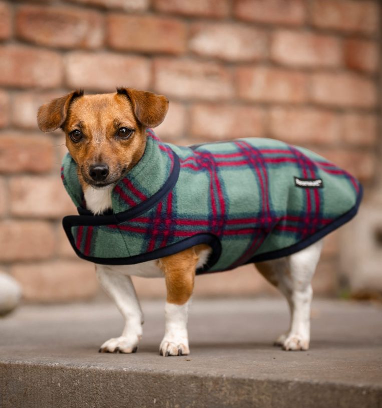 Horseware® Holiday Dog Fleece Rug
