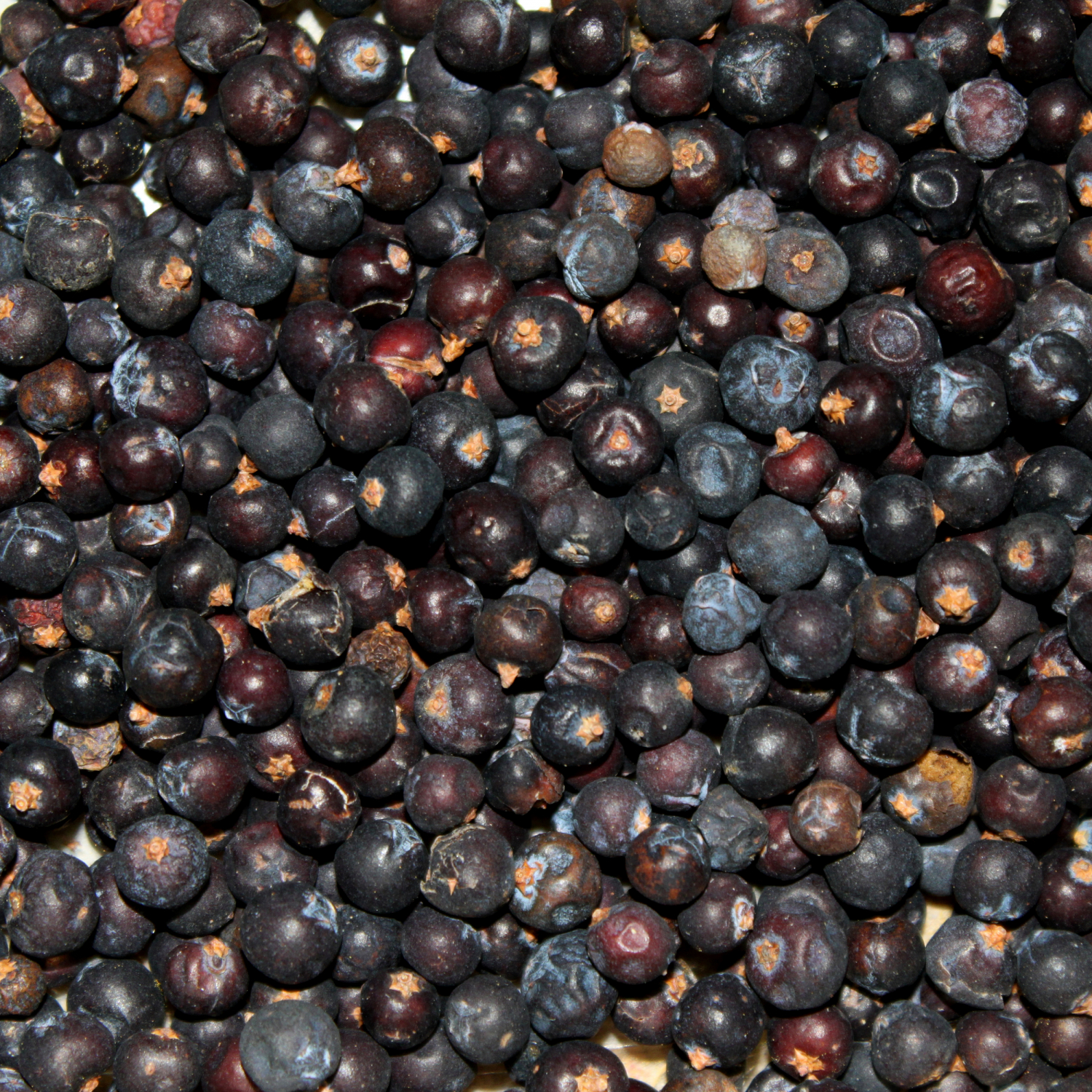 FTM Juniper berries