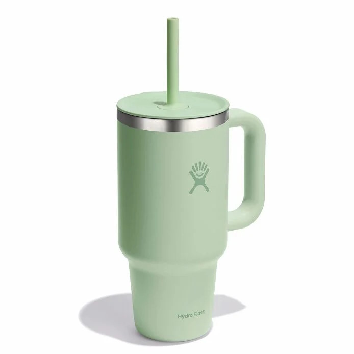 Hydro Flask 32oz All Around Travel Tumbler - 946ml - Aloe