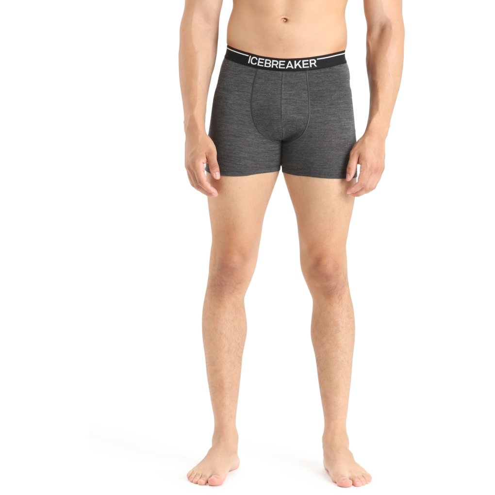Icebreaker Merino Anatomica Boxers Men - Jet HTHR