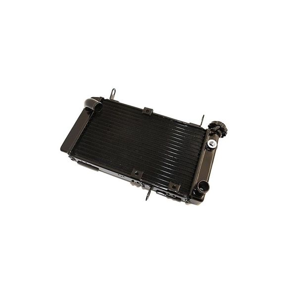 Brazoline adaptable water radiatorRef: RA2665