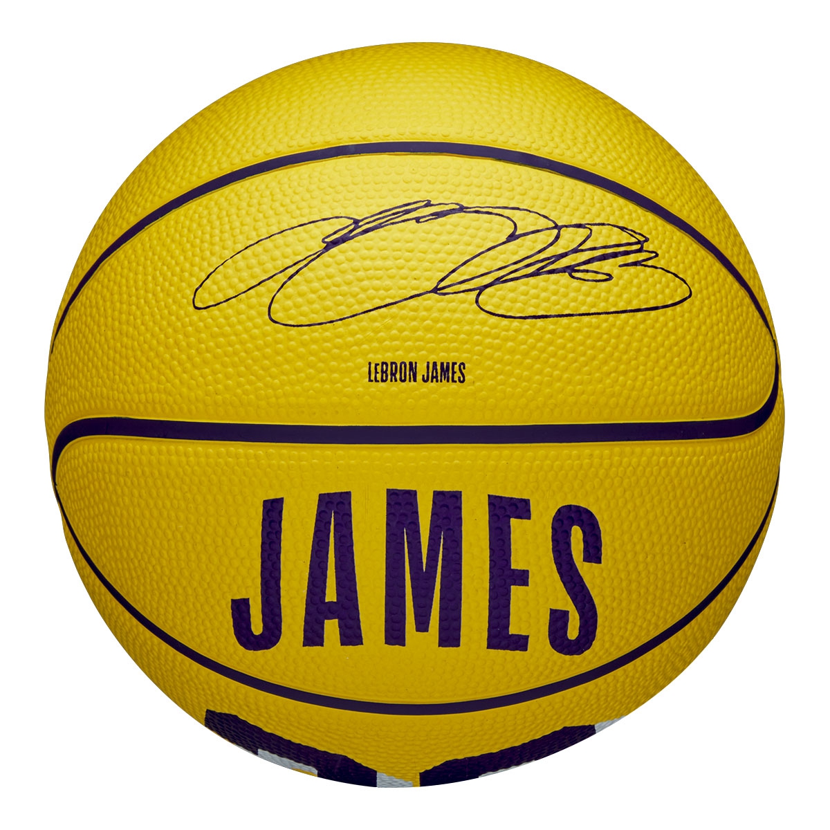LeBron James #23 Los Angeles Lakers Wilson NBA Mini Basketball (Size 3)
