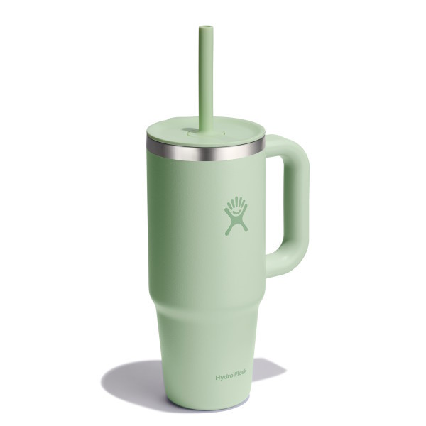 Hydro Flask 24oz All Around Travel Tumbler - 710ml - Aloe