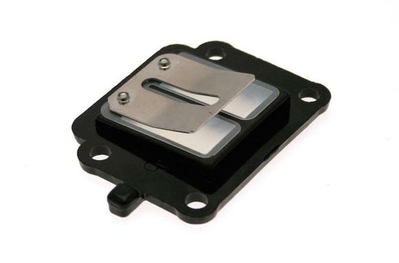 Clapets carbone B1 FIBRE BOOSTERRef : BONE00023A / 1020263