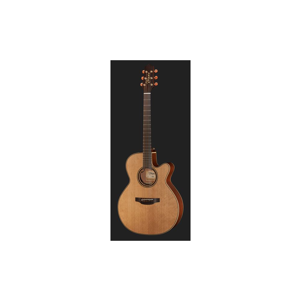 Takamine P3NC Pro Series w/Softcase – Thomann Ireland