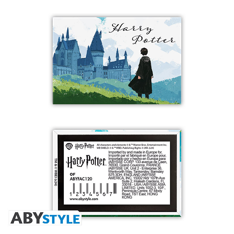 HARRY POTTER Standard Magnet Harry & Hogwarts