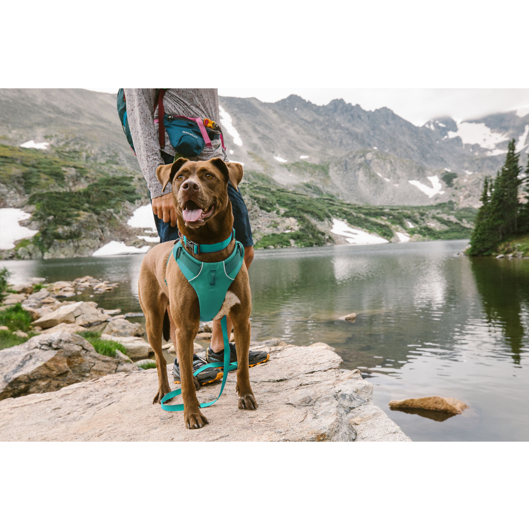 Ruffwear Front Range Harness - S - Basalt Gray