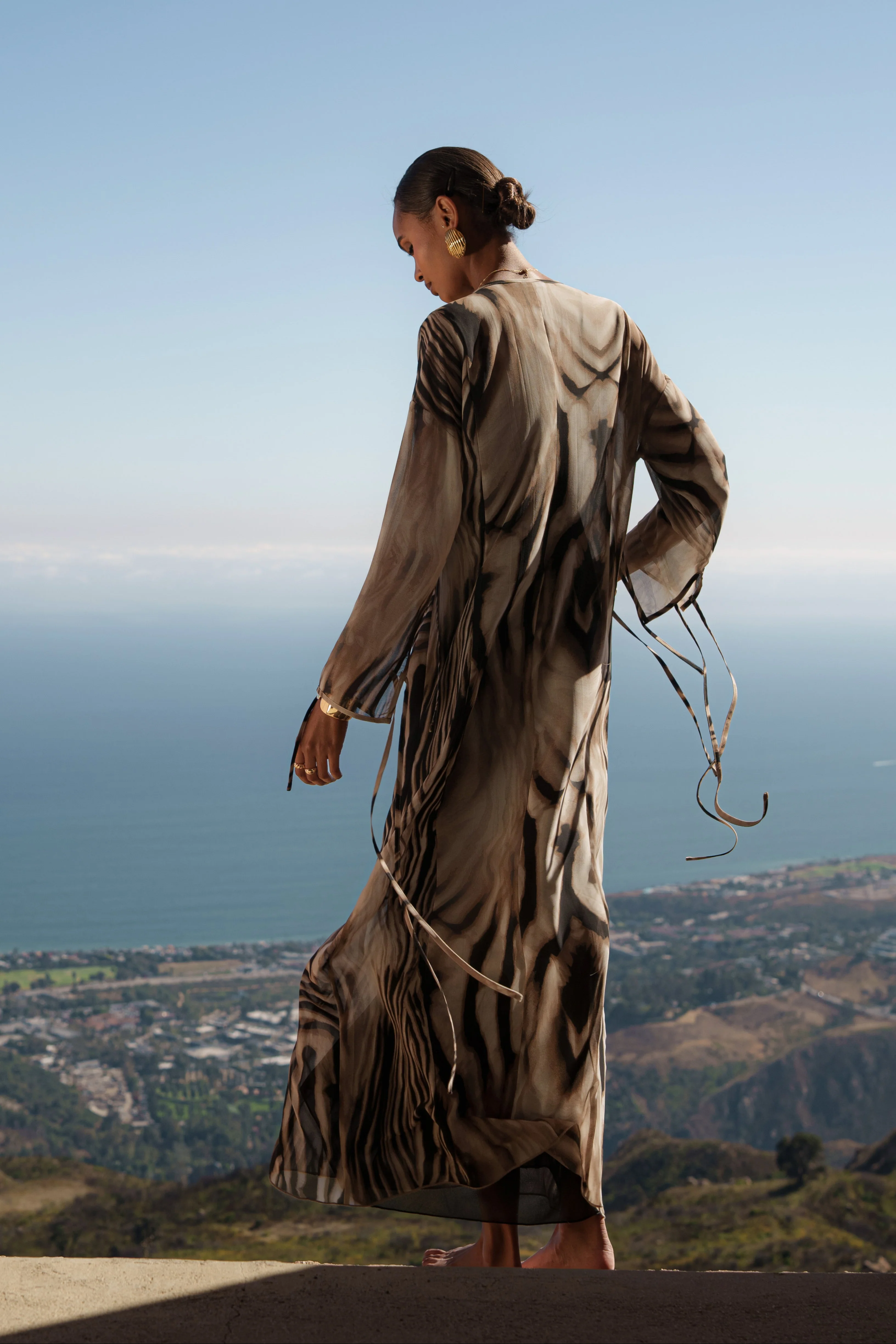Brown Zebra Print New Vista Maxi Dress