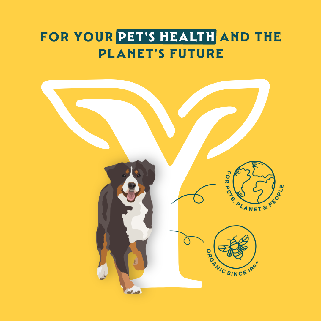 Yarrah Beef Chewstick Dog Snacks Bio - 5x 33g