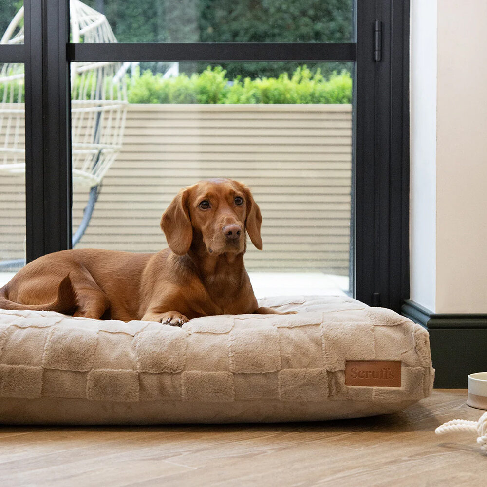 Beco Steady Dog Bowl - S - Pink