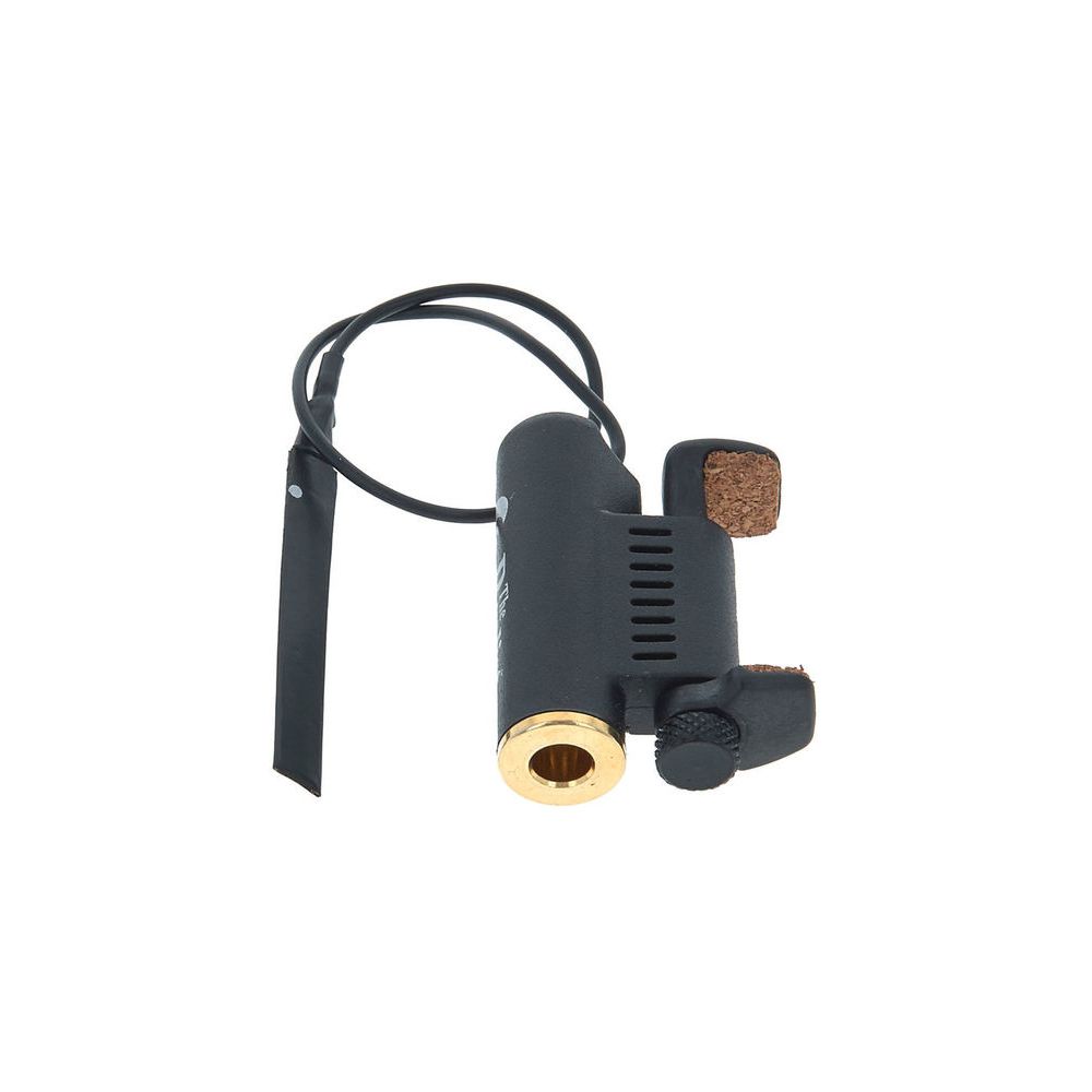 David Gage The Realist Viola QTR – Thomann Ireland