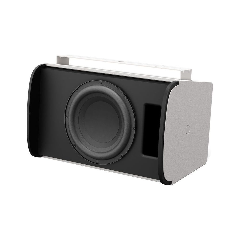 Bose Professional DesignMax DM10S