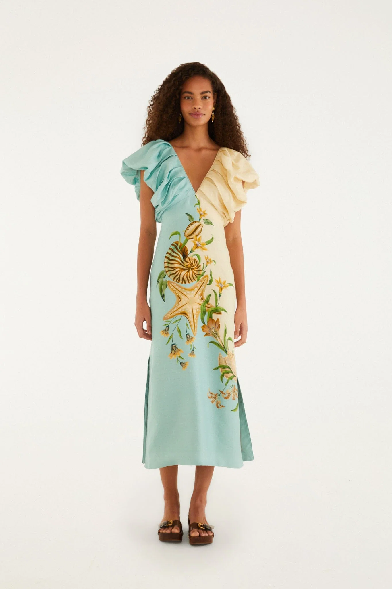 Bicolor Marine Garden Puff Sleeve Midi Dress