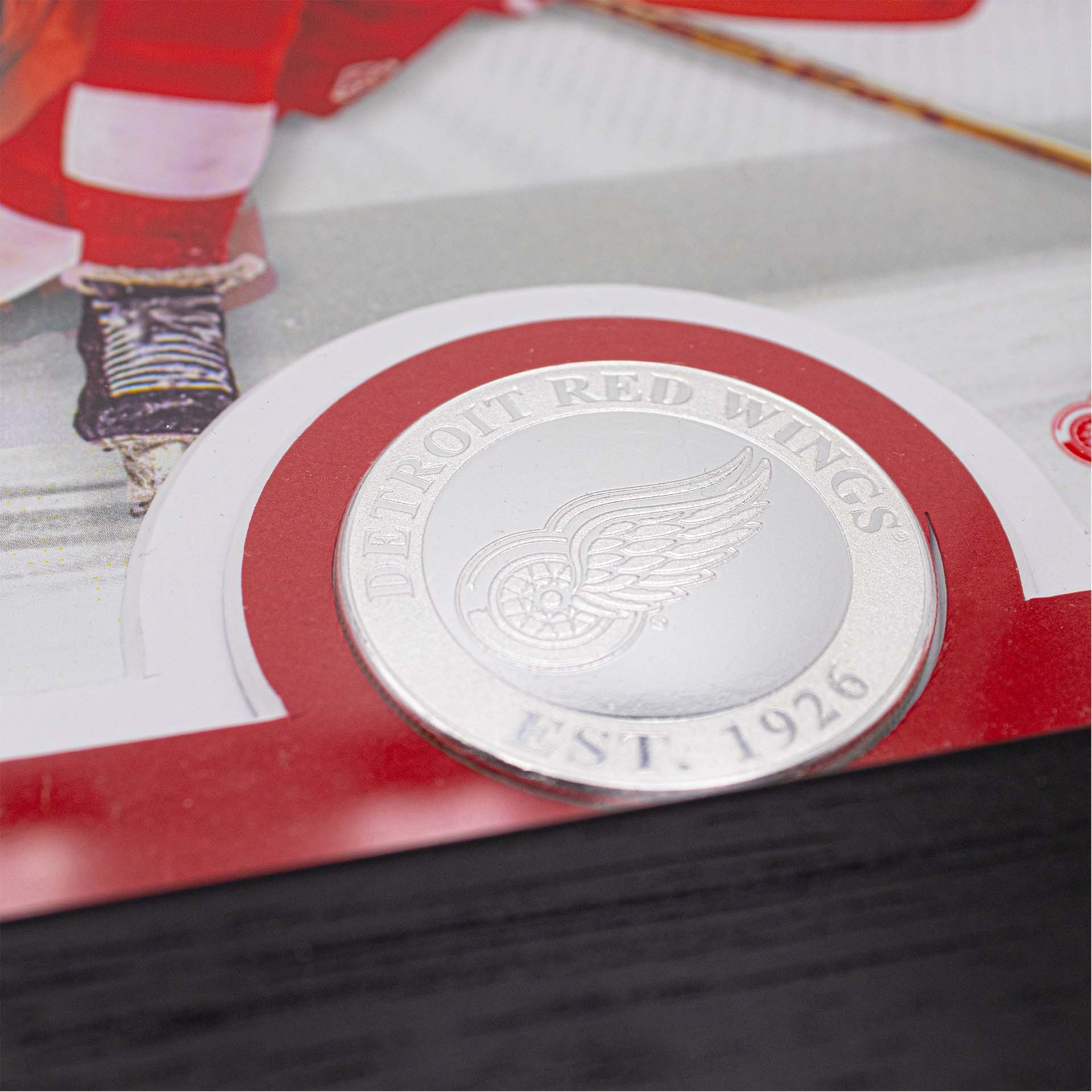 Sergei Fedorov Detroit Red Wings Jersey Retirement Night Silver Coin NHL Photo Frame