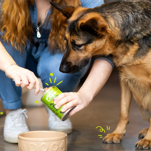 Edgard & Cooper Adult - Lamb & Beef - 6 x 400g