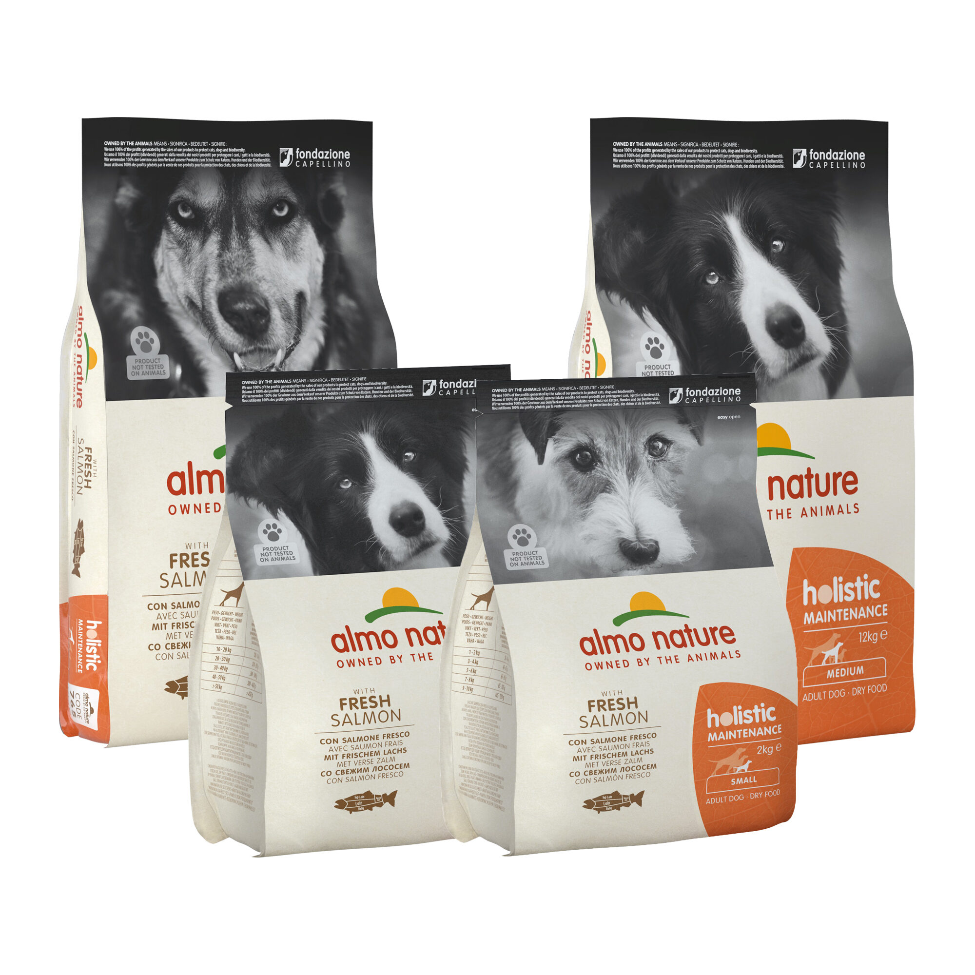 Almo Nature Holistic Maintenance Dog Food - Salmon - M-L - 2 kg