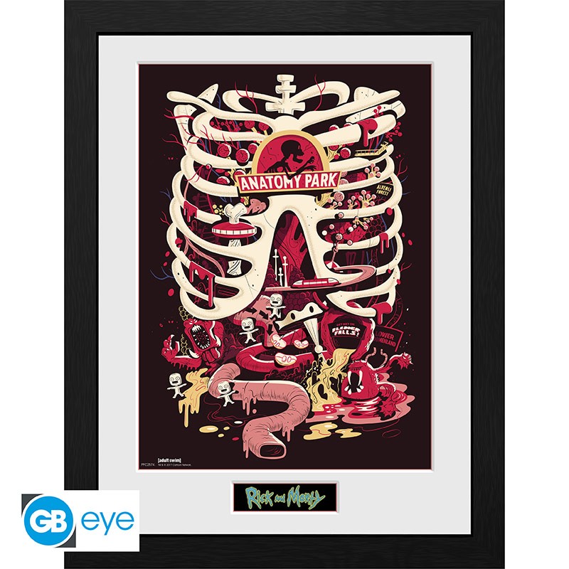 RICK AND MORTY Framed print Anatomy Park