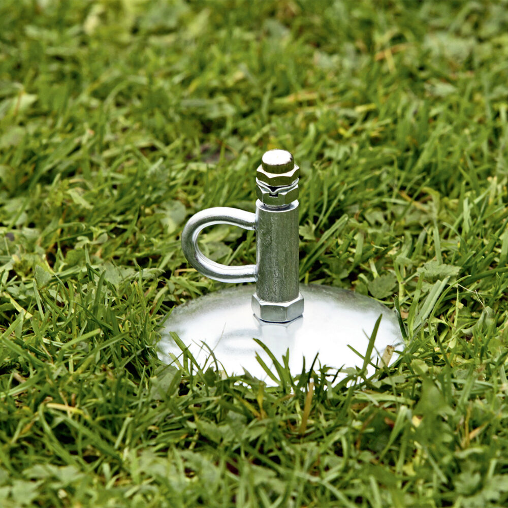 Flamingo Ground Spike Tapu