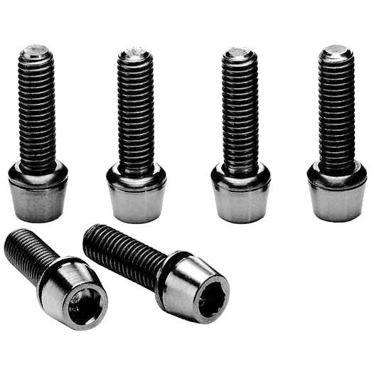 Ritchey Stainless Steel Bolts for WCS C220 - 6 Pieces