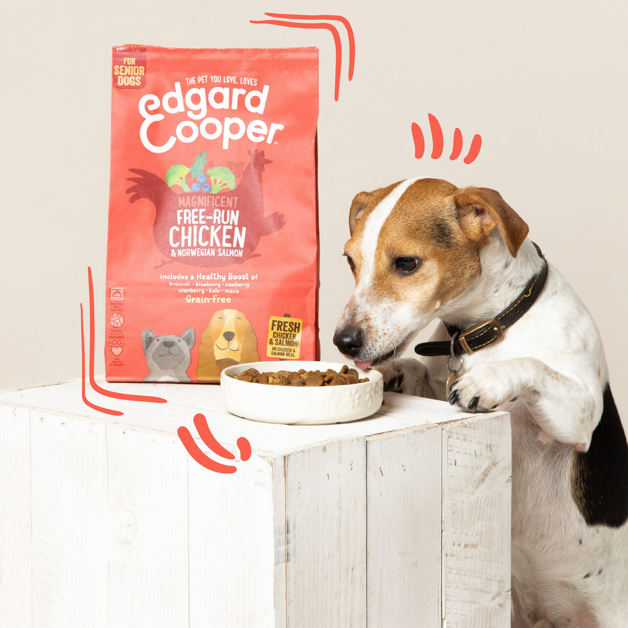 Edgard & Cooper Senior - Chicken & Salmon - 12kg