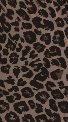 Onella Semi Sheer Maxi Skirt - Leopard Print