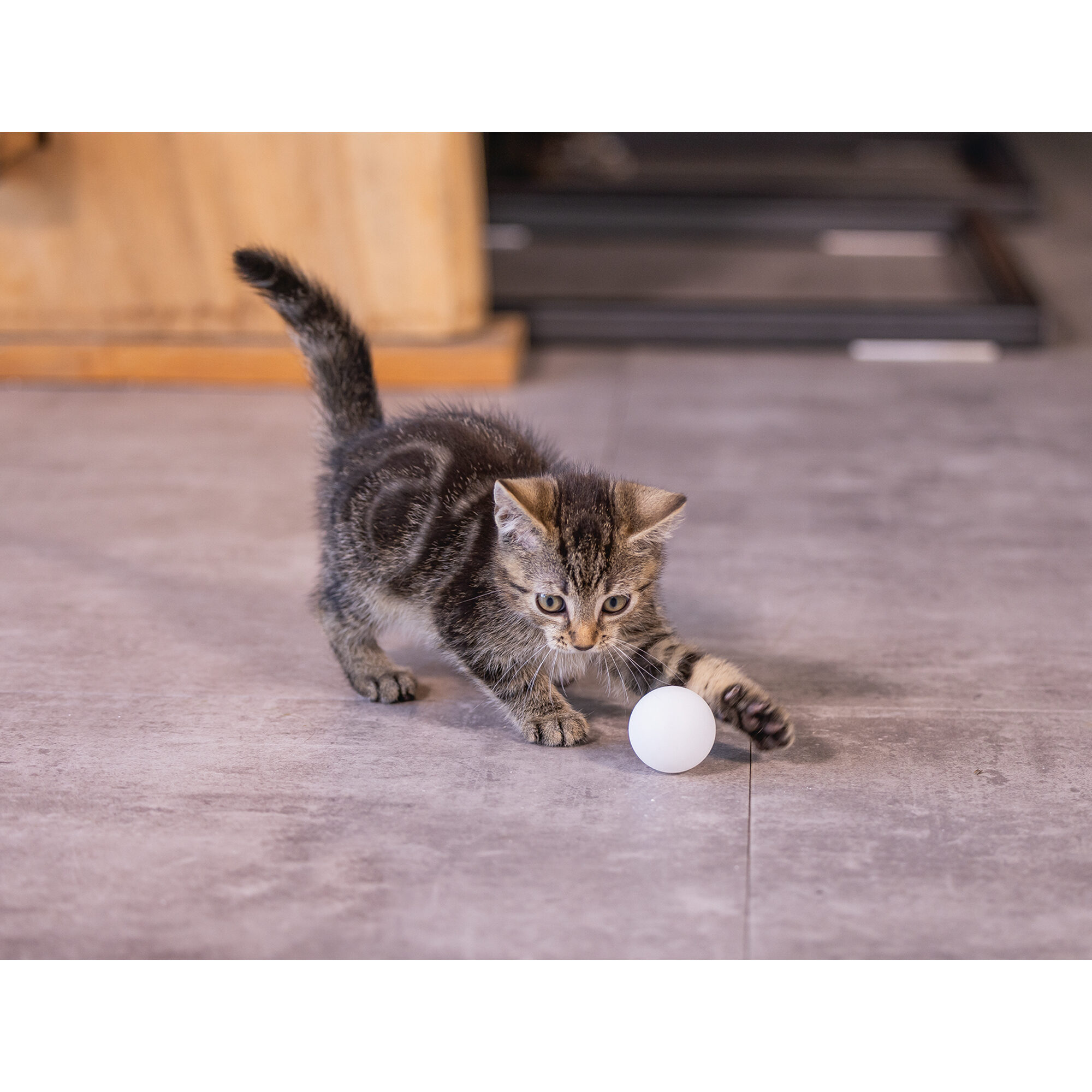 Beeztees Kitten Pingpong Balls - 4 x 4 x 4 cm