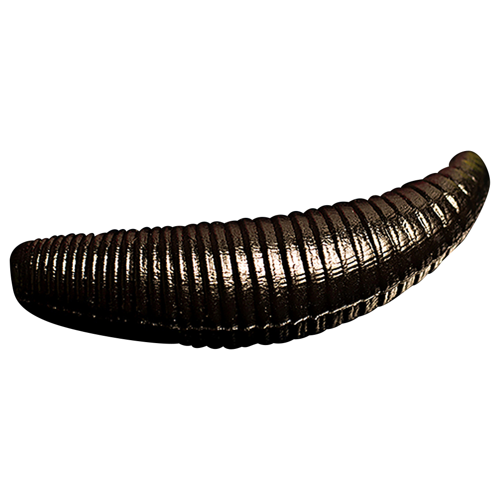 Trout Jara Soft Plastic Bait Bruchi (002, Garlic, Bubblegum)