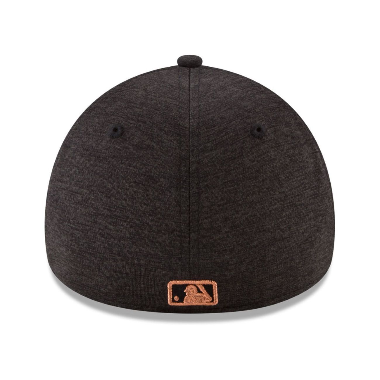 Houston Astros 2017 World Series Champs Locker Room 39Thirty Cap