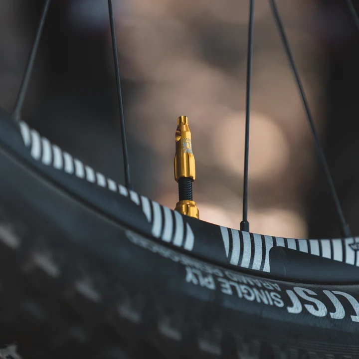 Lezyne CNC Valve Cap - silver